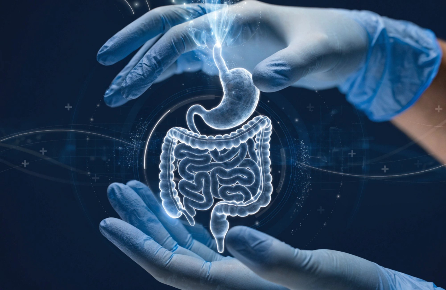 Gastroenterology